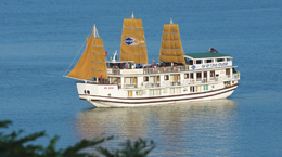 Grayline Cruise